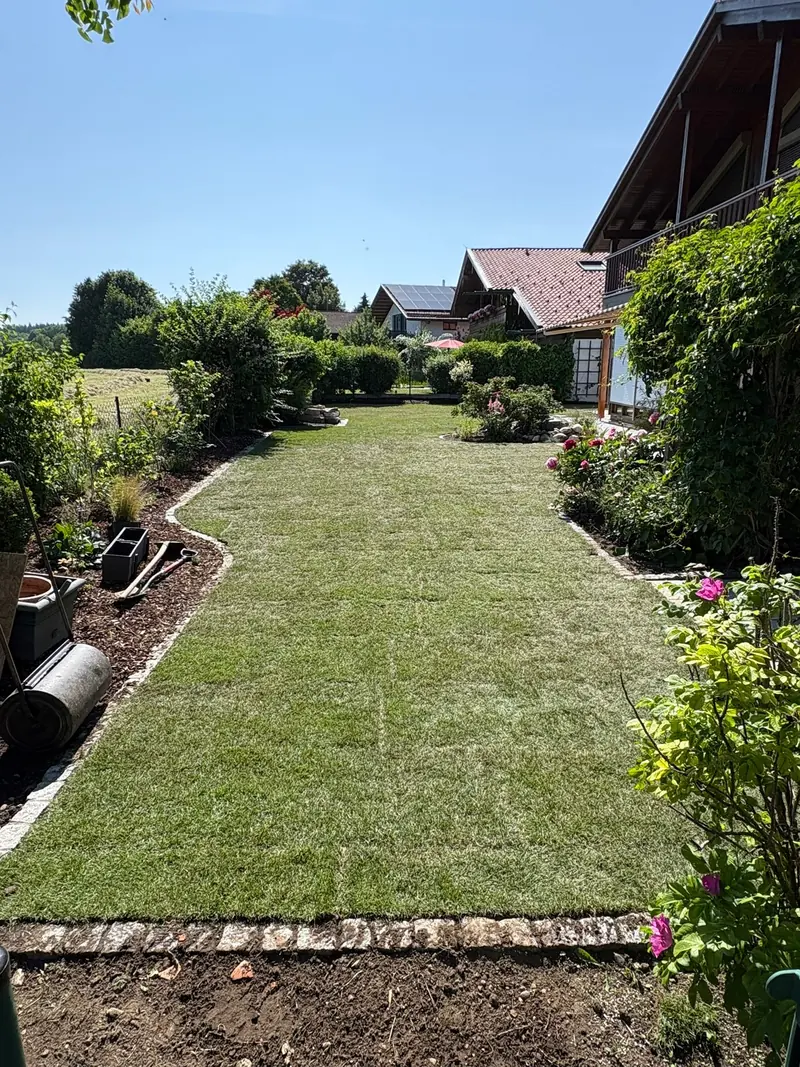 Rollrasen für den ganzen Garten